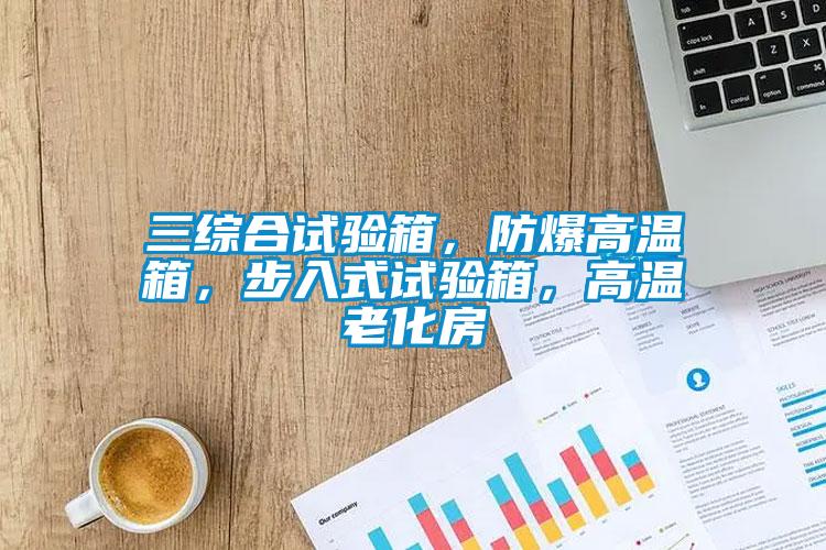三綜合試驗(yàn)箱，防爆高溫箱，步入式試驗(yàn)箱，高溫老化房