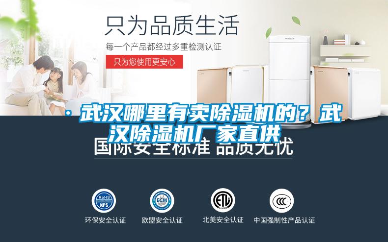 ·武漢哪里有賣(mài)除濕機(jī)的？武漢除濕機(jī)廠家直供