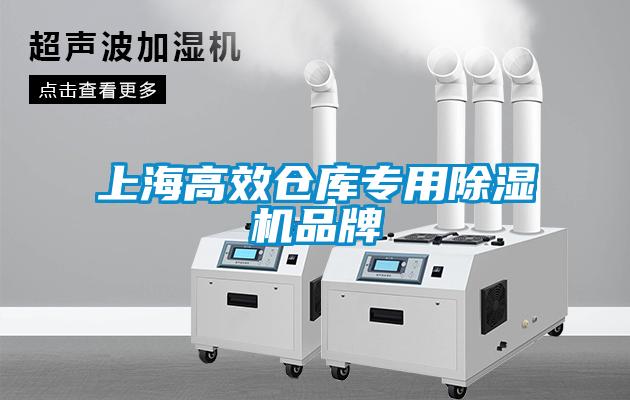 上海高效倉(cāng)庫(kù)專用除濕機(jī)品牌