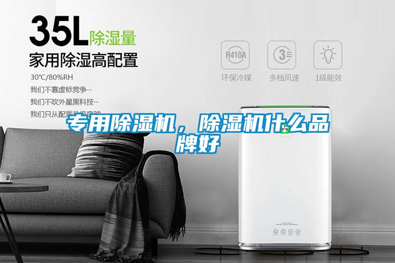 專用除濕機，除濕機什么品牌好