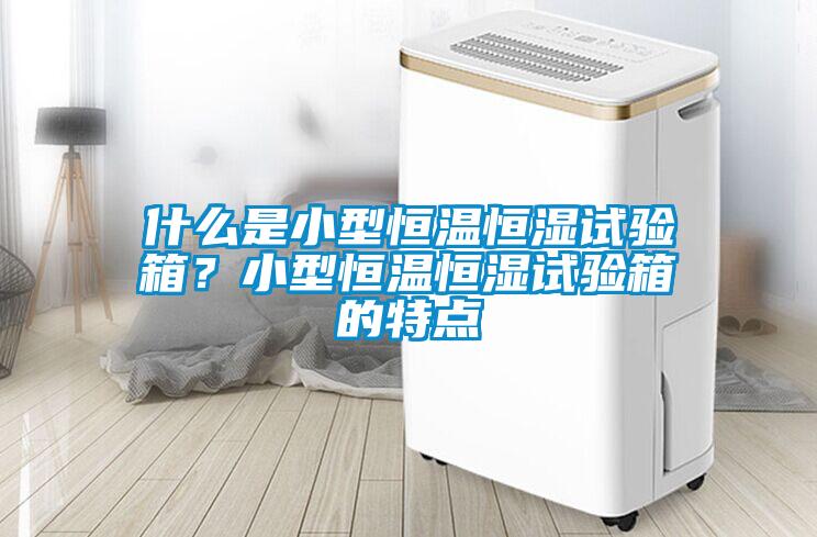 什么是小型恒溫恒濕試驗箱？小型恒溫恒濕試驗箱的特點