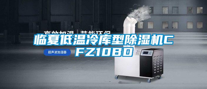 臨夏低溫冷庫(kù)型除濕機(jī)CFZ10BD
