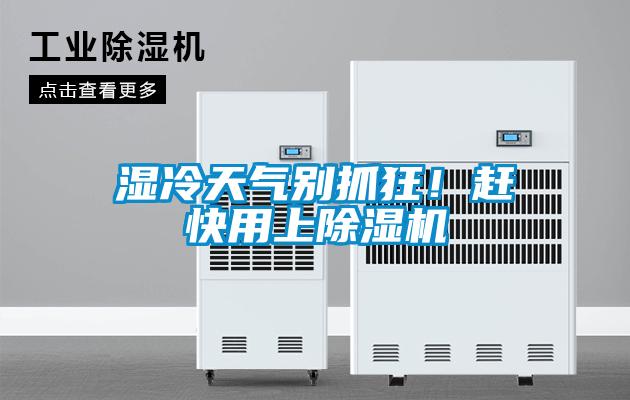 濕冷天氣別抓狂！趕快用上除濕機