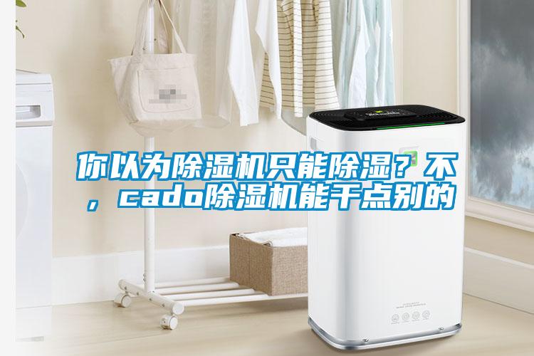 你以為除濕機(jī)只能除濕？不，cado除濕機(jī)能干點(diǎn)別的