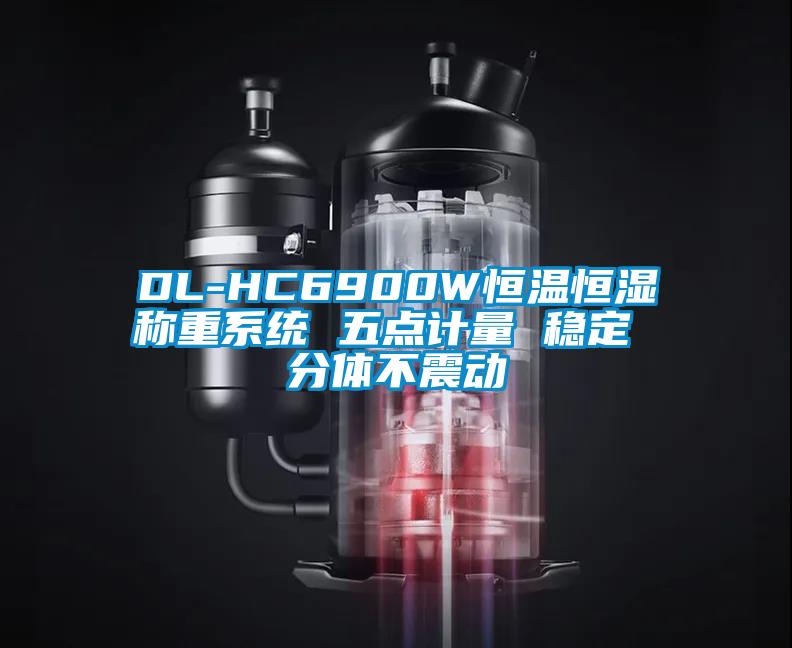 DL-HC6900W恒溫恒濕稱重系統(tǒng) 五點計量 穩(wěn)定 分體不震動