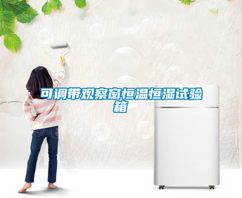 可調(diào)帶觀(guān)察窗恒溫恒濕試驗(yàn)箱