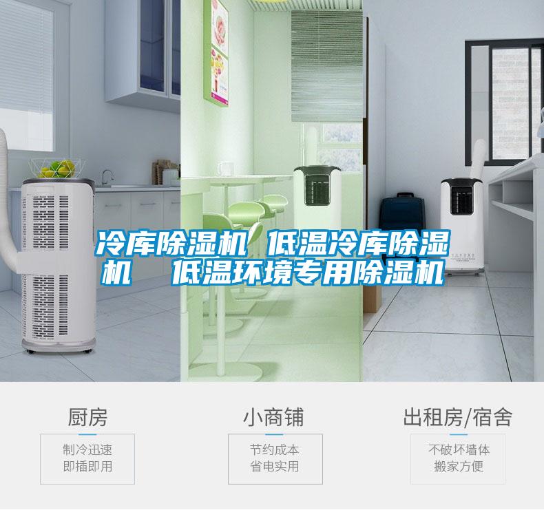 冷庫除濕機 低溫冷庫除濕機  低溫環(huán)境專用除濕機