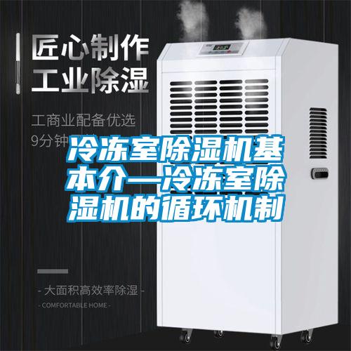 冷凍室除濕機基本介—冷凍室除濕機的循環機制