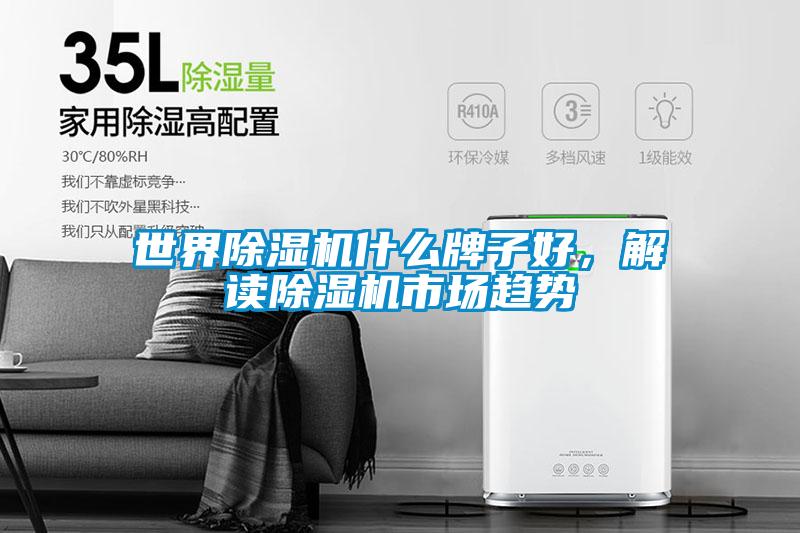 世界除濕機什么牌子好，解讀除濕機市場趨勢