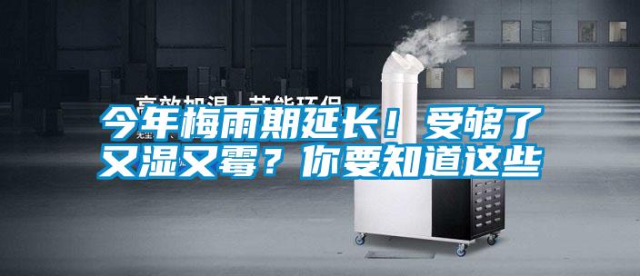 今年梅雨期延長！受夠了又濕又霉？你要知道這些
