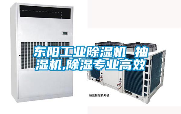 東陽工業(yè)除濕機(jī) 抽濕機(jī),除濕專業(yè)高效