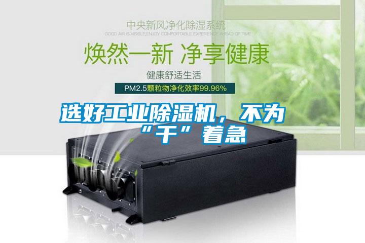 選好工業(yè)除濕機(jī)，不為“干”著急