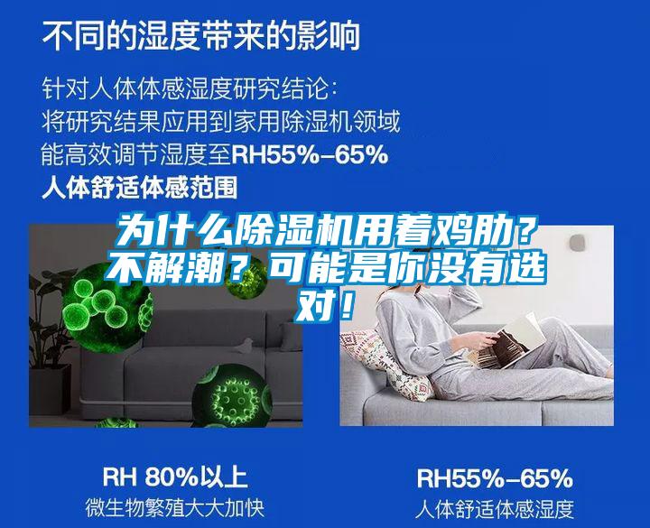 為什么除濕機用著雞肋？不解潮？可能是你沒有選對！