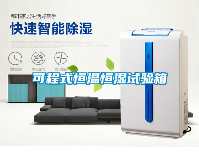 可程式恒溫恒濕試驗(yàn)箱