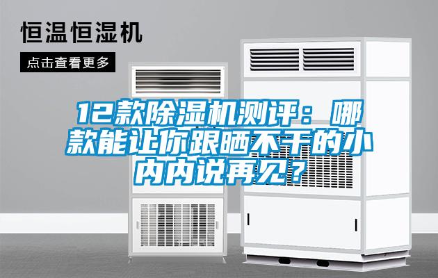 12款除濕機(jī)測評(píng)：哪款能讓你跟曬不干的小內(nèi)內(nèi)說再見？