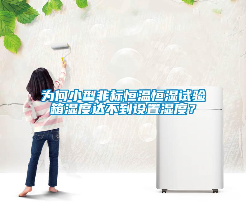 為何小型非標恒溫恒濕試驗箱濕度達不到設置濕度？