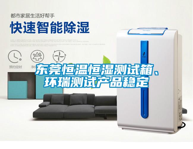 東莞恒溫恒濕測試箱、環瑞測試產品穩定