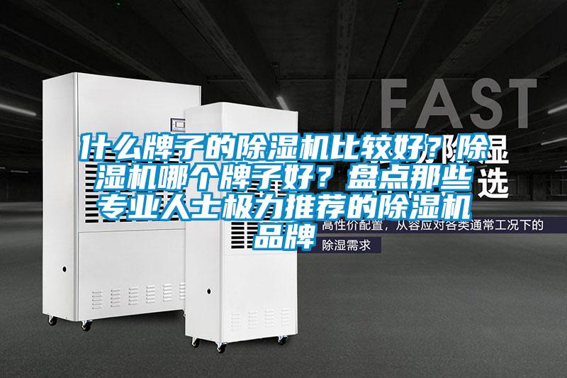 什么牌子的除濕機比較好？除濕機哪個牌子好？盤點那些專業人士極力推薦的除濕機品牌