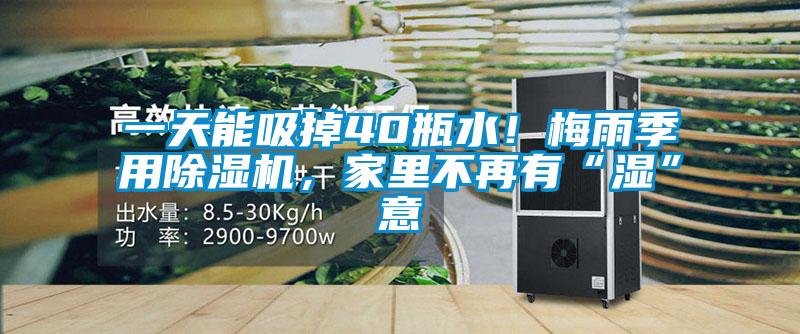 一天能吸掉40瓶水！梅雨季用除濕機(jī)，家里不再有“濕”意