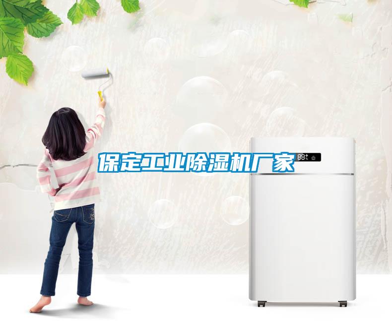 保定工業(yè)除濕機廠家