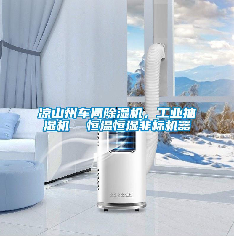 涼山州車間除濕機，工業抽濕機  恒溫恒濕非標機器