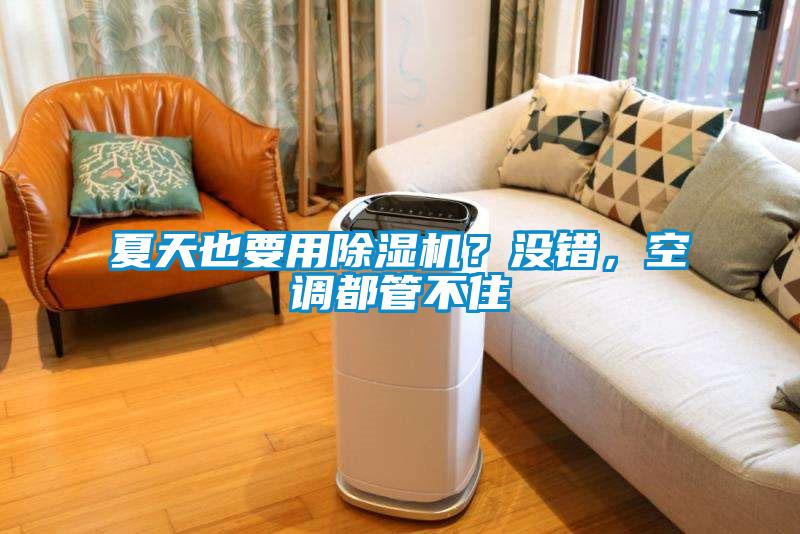 夏天也要用除濕機(jī)？沒錯(cuò)，空調(diào)都管不住