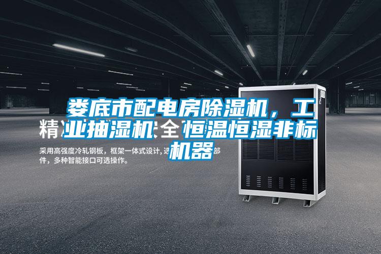 婁底市配電房除濕機，工業抽濕機  恒溫恒濕非標機器