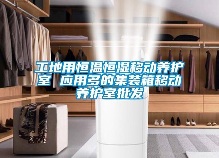 工地用恒溫恒濕移動養(yǎng)護室 應用多的集裝箱移動養(yǎng)護室批發(fā)