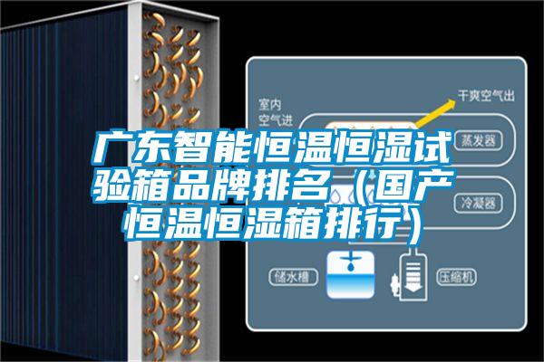 廣東智能恒溫恒濕試驗箱品牌排名（國產恒溫恒濕箱排行）
