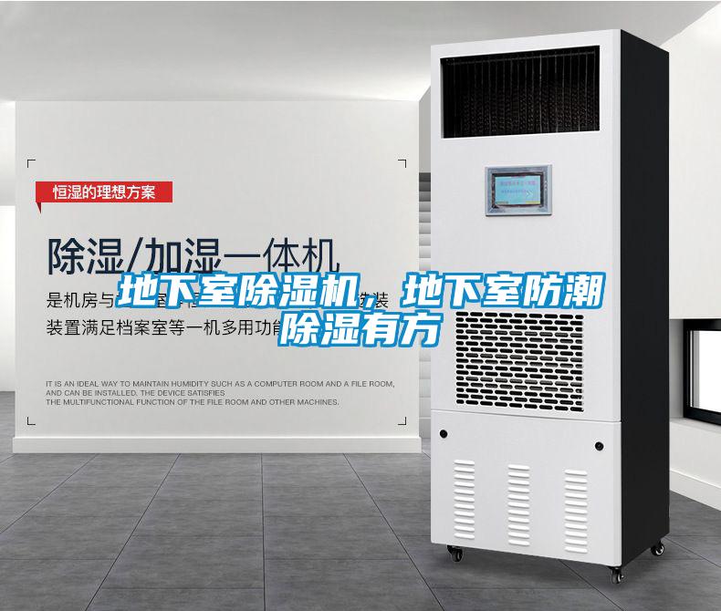 地下室除濕機，地下室防潮除濕有方
