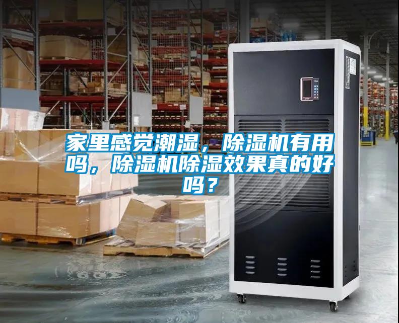 家里感覺潮濕，除濕機(jī)有用嗎，除濕機(jī)除濕效果真的好嗎？