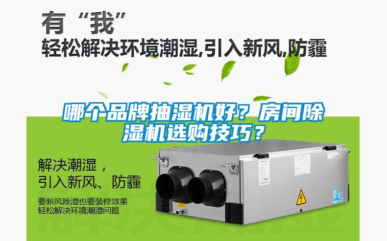 哪個品牌抽濕機好？房間除濕機選購技巧？