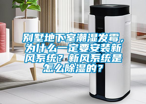 別墅地下室潮濕發霉，為什么一定要安裝新風系統？新風系統是怎么除濕的？