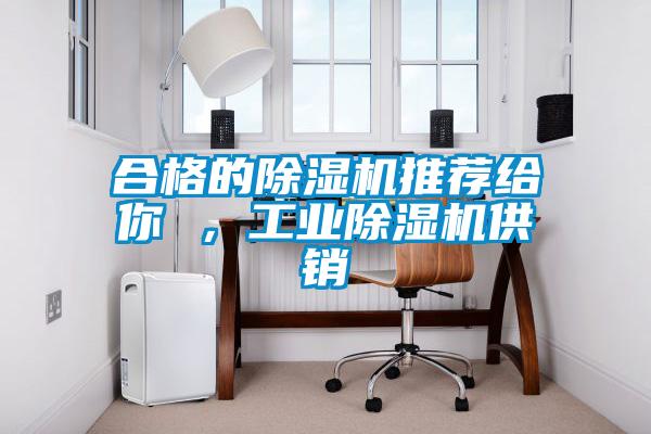 合格的除濕機推薦給你 ，工業除濕機供銷