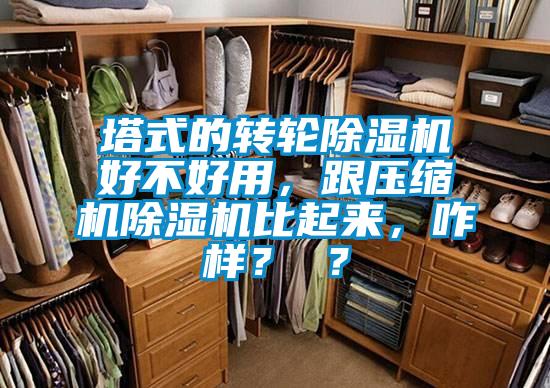 塔式的轉(zhuǎn)輪除濕機(jī)好不好用，跟壓縮機(jī)除濕機(jī)比起來，咋樣？ ？
