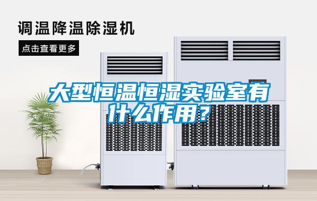 大型恒溫恒濕實驗室有什么作用？