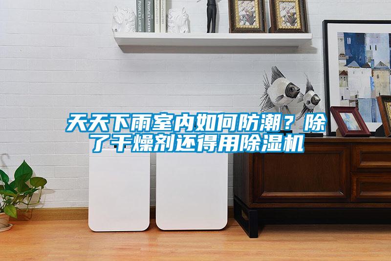 天天下雨室內(nèi)如何防潮？除了干燥劑還得用除濕機