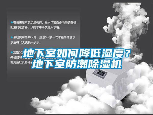 地下室如何降低濕度？地下室防潮除濕機