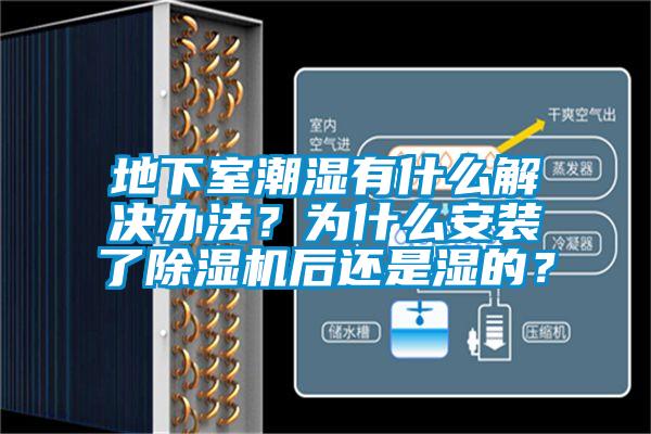 地下室潮濕有什么解決辦法？為什么安裝了除濕機后還是濕的？