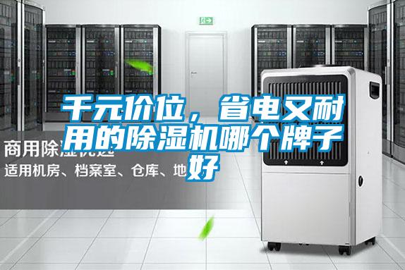 千元價(jià)位，省電又耐用的除濕機(jī)哪個(gè)牌子好