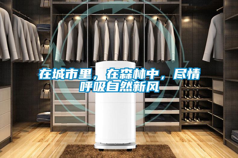 在城市里，在森林中，盡情呼吸自然新風