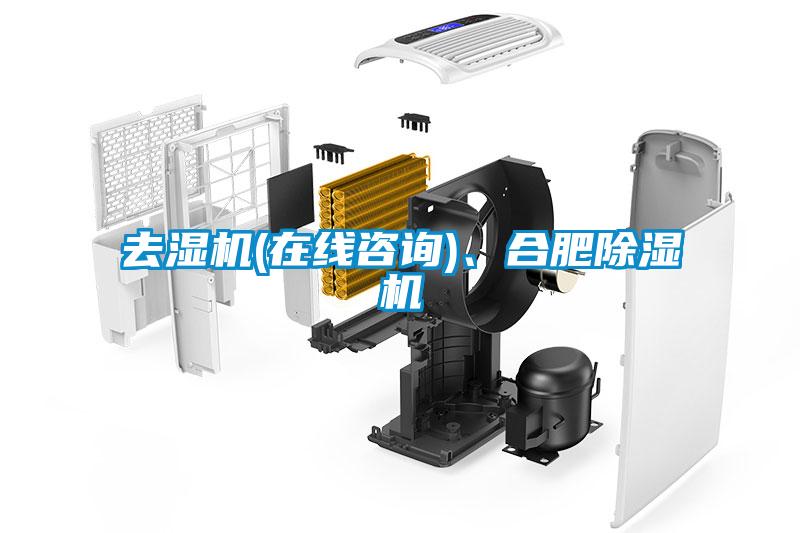 去濕機(jī)(在線咨詢(xún))、合肥除濕機(jī)