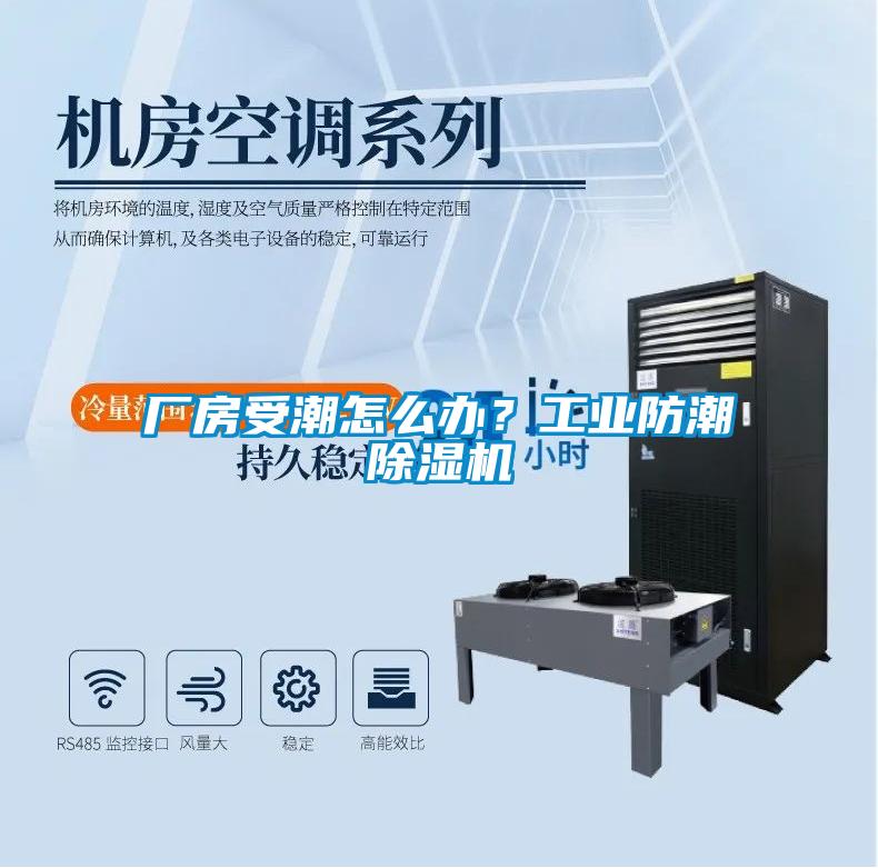 廠房受潮怎么辦？工業防潮除濕機