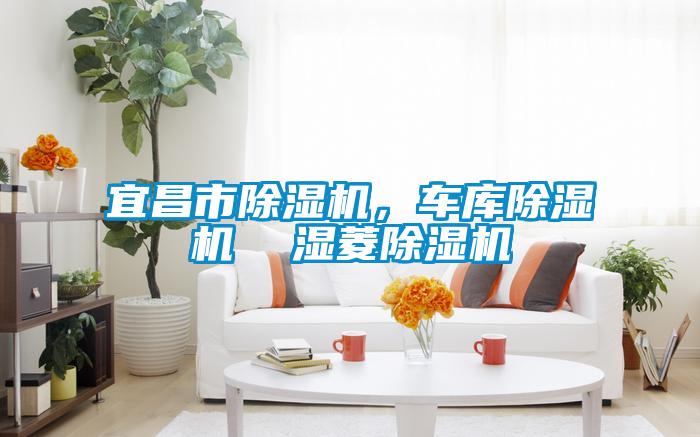 宜昌市除濕機，車庫除濕機  濕菱除濕機