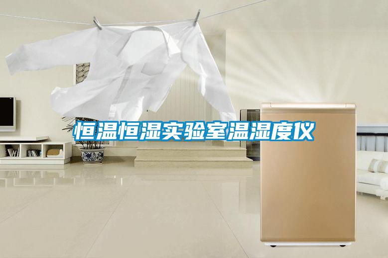恒溫恒濕實(shí)驗(yàn)室溫濕度儀