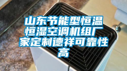 山東節能型恒溫恒濕空調機組廠家定制德祥可靠性高