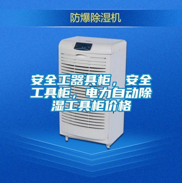 安全工器具柜，安全工具柜，電力自動除濕工具柜價格