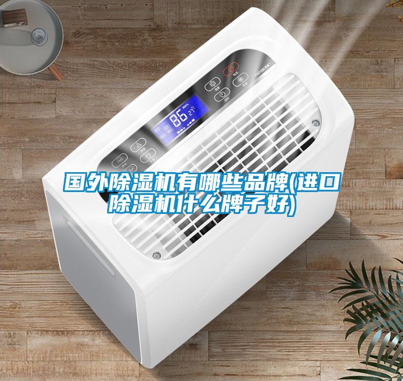 國外除濕機(jī)有哪些品牌(進(jìn)口除濕機(jī)什么牌子好)
