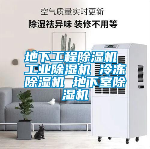 地下工程除濕機 工業除濕機 冷凍除濕機 地下室除濕機
