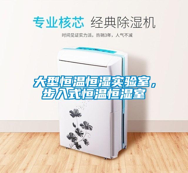 大型恒溫恒濕實(shí)驗(yàn)室，步入式恒溫恒濕室